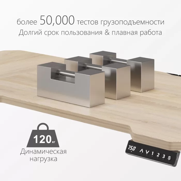 Стол компьютерный с подъемным механизмом регулируемый по высоте  с двумя моторами 1SJ01166
