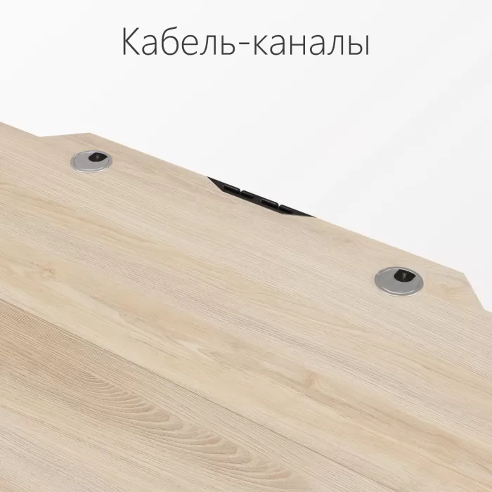 Стол компьютерный с подъемным механизмом регулируемый по высоте  с двумя моторами 1SJ01172