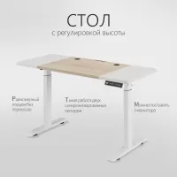 Стол компьютерный с подъемным механизмом регулируемый по высоте  с двумя моторами 1SJ01166