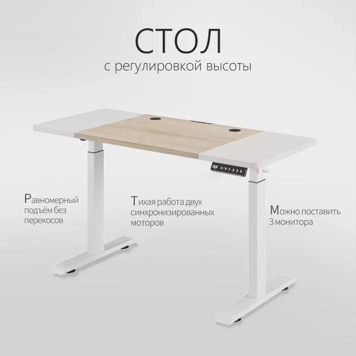 Стол компьютерный с подъемным механизмом регулируемый по высоте  с двумя моторами 1SJ01166