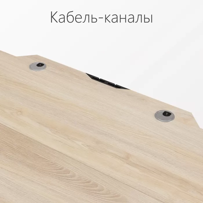 Стол компьютерный с подъемным механизмом регулируемый по высоте  с двумя моторами 1SJ01173