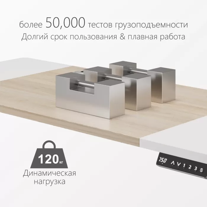 Стол компьютерный с подъемным механизмом регулируемый по высоте  с двумя моторами 1SJ01166